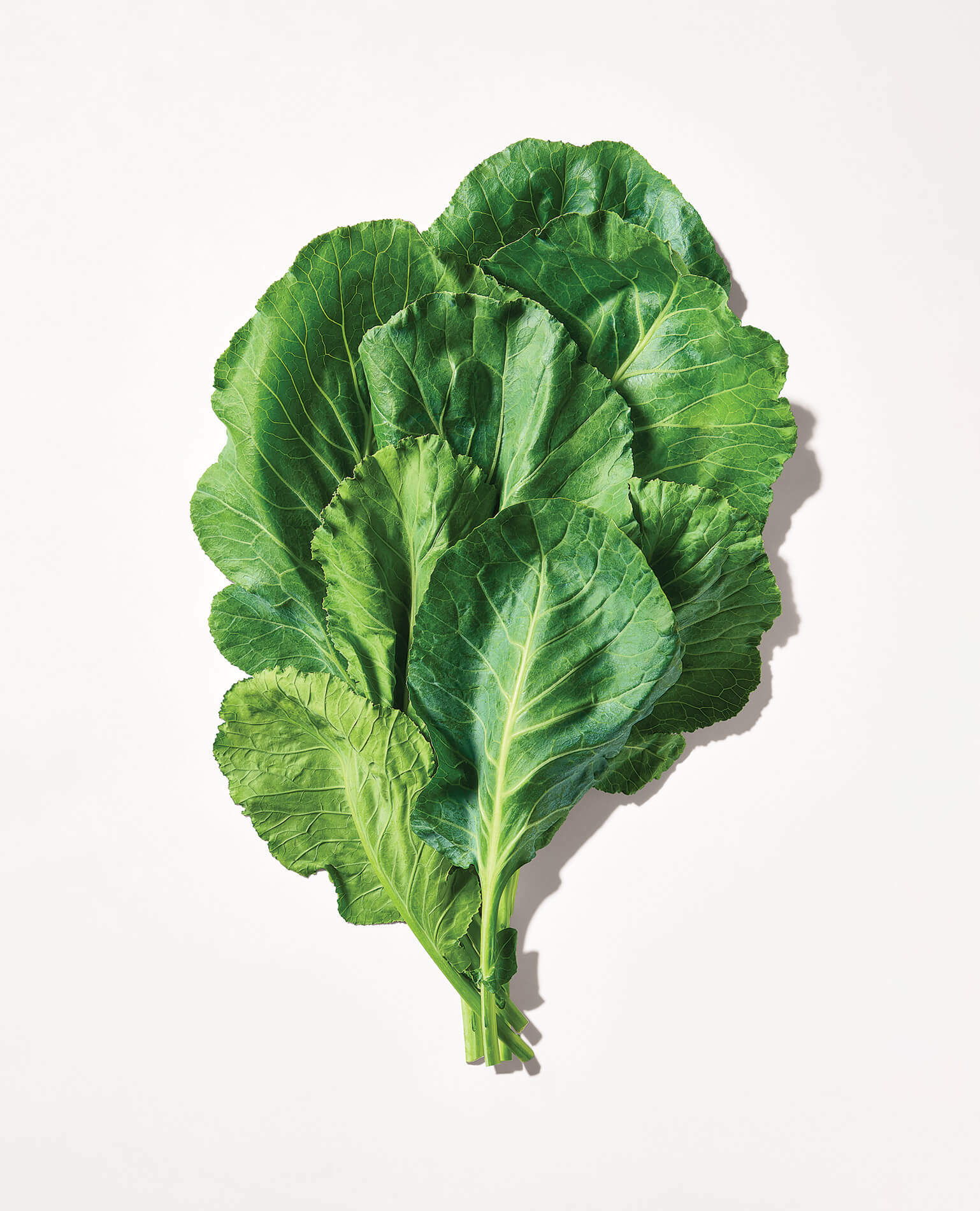 A few leafy collard greens on a white background.