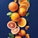Slices of various types of oranges on a blue background.