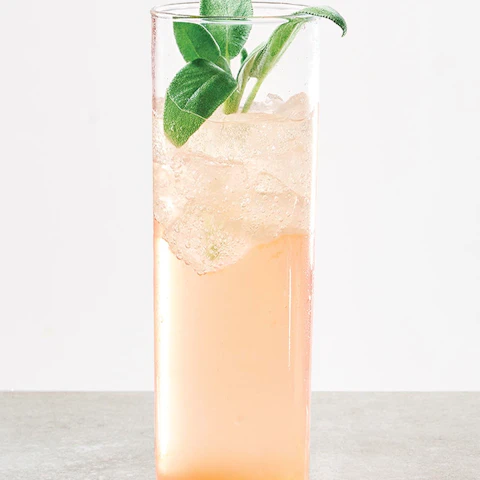 Glass of Plum Sage Spritz with Avaline White cocktail