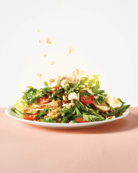 Plate of Grilled Greek Chicken and Sun Dried Tomato Salad