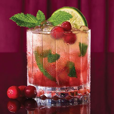 Glass of Cranberry Sauce Mojito
