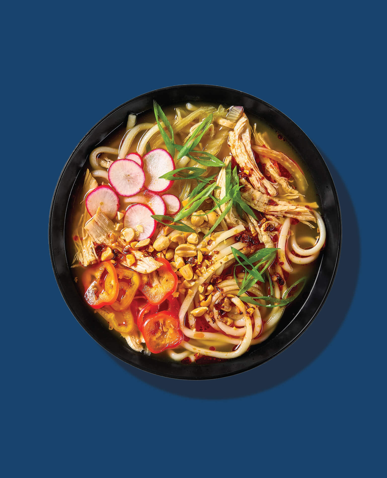 A bowl of Asian noodle soup.