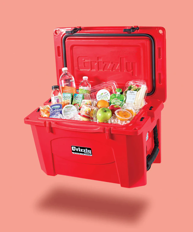A red cooler filled with healthy summer food offerings.